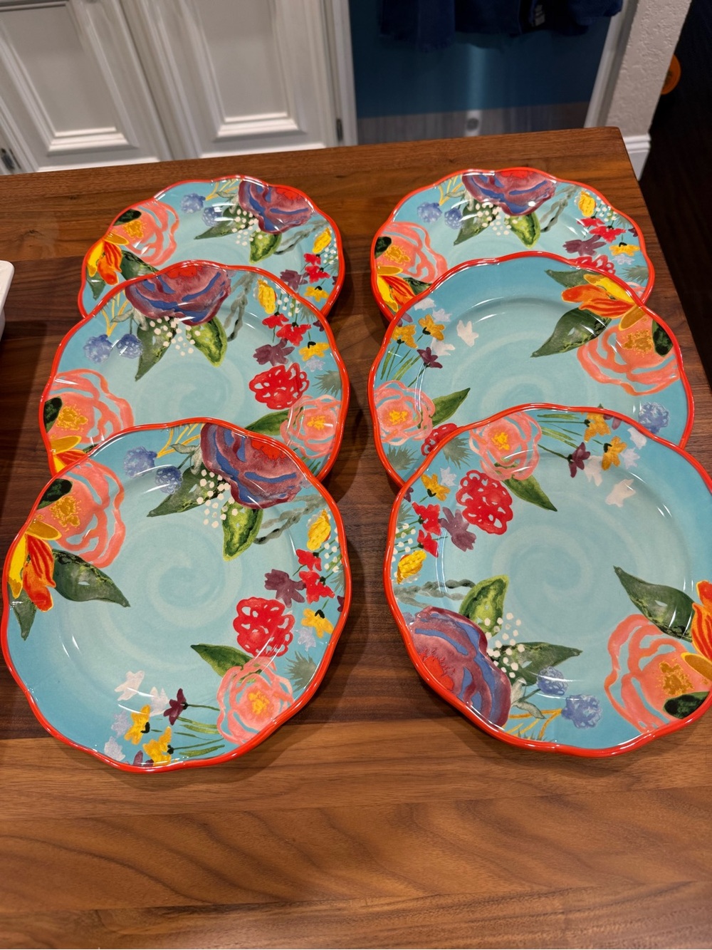 The Pioneer Woman Turquoise and Red Floral Salad Plates